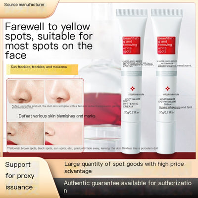 Brightening Niacinamide Cream 20g for Dark Spots