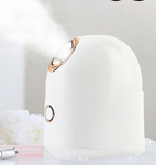 Radiant Glow Facial Steamer