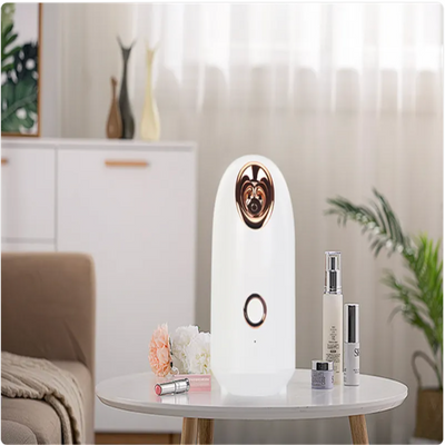 Radiant Glow Facial Steamer